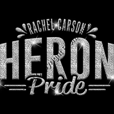 GLT62 SILVER GLITTER Thumbnail